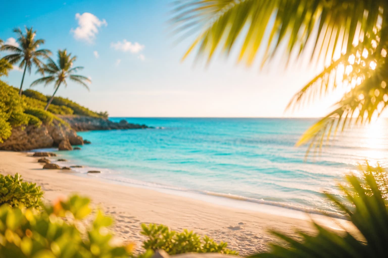 A bright Bahamian shoreline under open sky.